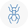 Ant Removals In Upton