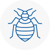 Bed Bug Extermination In Upton