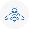 Bee Nest Removal Upton