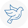 Bird Prevention Upton