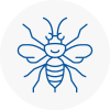 Upton Hornet Nest Removals