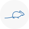Mice Exterminators In Upton