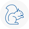 Upton Rodent Removals