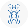 Upton Wasp Nest Removal